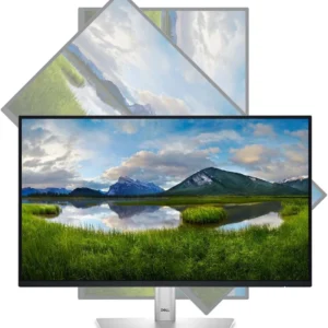 DELL MONITOR P2422H