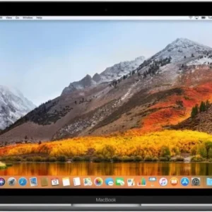 Apple MacBook 12" Laptop Intel Core i5-2017
